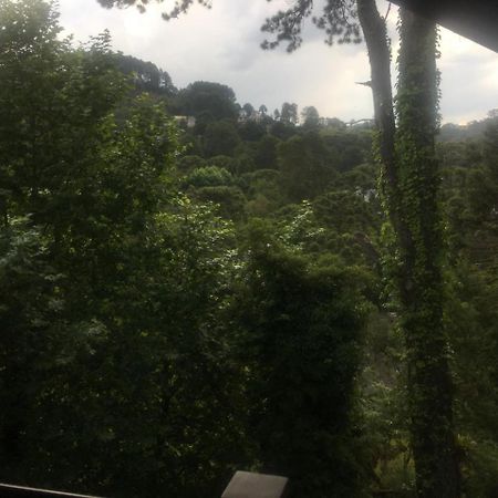 Aqui A Vida E Bella Διαμέρισμα Campos do Jordão Εξωτερικό φωτογραφία